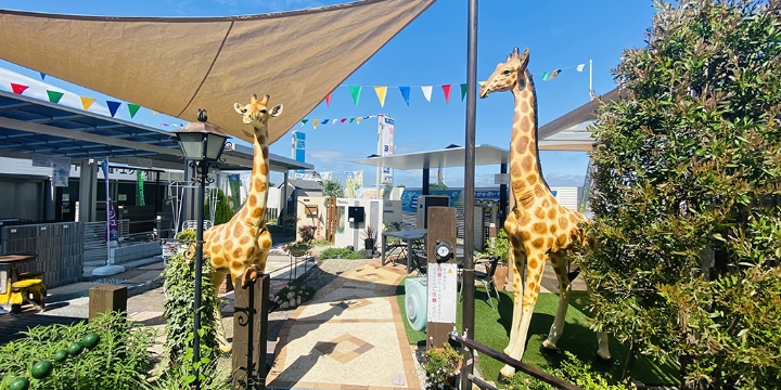 橘の展示場屋外スペース